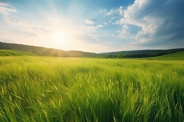 Fototapeta na wymiar Nature's Canvas: Beautiful Panoramic Landscape of a Sunny Green Field 3
