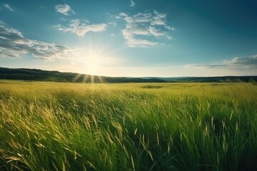 Fototapeta na wymiar The Art of Nature: Gorgeous Panoramic Landscape of a Sun-Kissed Green Field 14