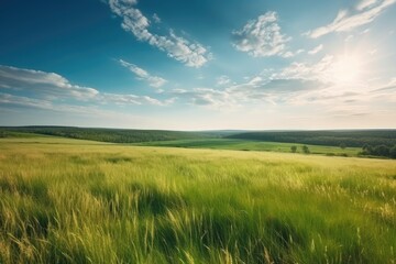 Fototapeta na wymiar The Art of Nature: Gorgeous Panoramic Landscape of a Sun-Kissed Green Field 12