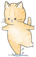 水たまりで遊ぶ茶トラ猫