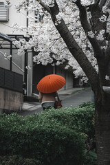 Orange umbrella.