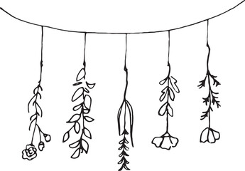 線画。線画ベクターイラスト。ナチュラルイメージの植物背景。