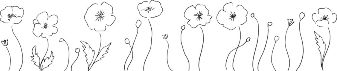 線画。線画タッチのポピーの花のベクターイラスト。