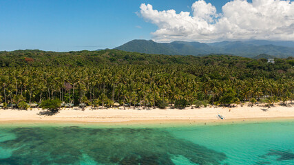 Aerial view of Tropical beach with palm trees. Pagudpud, Ilocos Norte, Philippines.
