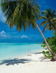 tropical Maldives island with white sandy beach and sea. palm