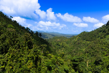 Tropical jungle covered hills against blue sky