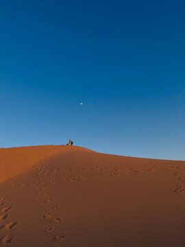 person in the desert
