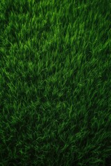 Green grass background texture. Element of design. Abstract green grass background. Green grass texture. Generative Ai.