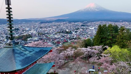 Fuji mountain with sakura blossom and traditional Japanese pagoda, aerial view of Fuji in spring with cherry trees in bloom and Chureito pagoda