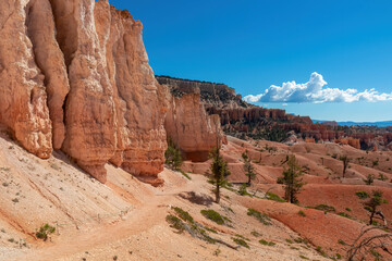 Panoramic Fairyland hiking trail with scenic view on massive hoodoo wall sandstone rock formation in Bryce Canyon National Park, Utah, USA. Pine trees along the way. Unique nature in barren landscape