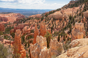 Panoramic aerial view on massive hoodoo sandstone rock formation towers in Bryce Canyon National Park, Utah, USA. Pine trees along Fairyland loop hiking trail. Unique nature in barren landscape