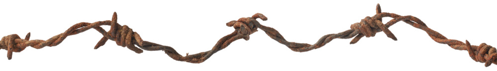 close-up of old rusty barbed wire, dirty, grunge and weathered security wire fence of twisted strands with sharp barbs or points  isolated
