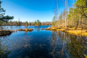 View of the forest lake in the autumn