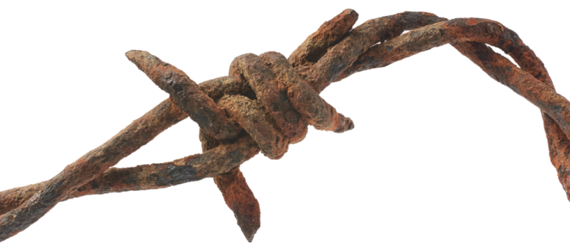 close-up macro view of old rusty barbed wire, dirty, grunge and weathered security wire fence of twisted strands with sharp barbs or points isolated