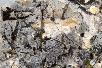 walls in a mountain cave, natural stone, cut structure, material for construction work and design solutions.