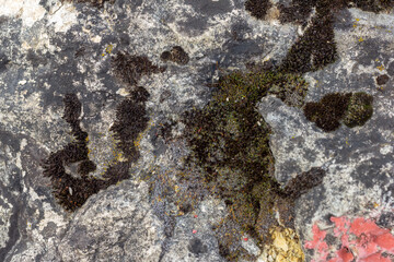 walls in a mountain cave, natural stone, cut structure, material for construction work and design solutions.
