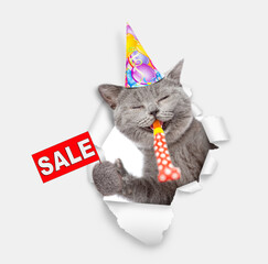 Naklejka premium Happy cat wearing party cap looks through the hole in white paper, blows in party horn and shows signboard with labeled 