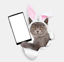 Cute kitten wearing easter rabbits ears holds big smartphone with white blank screen through torn white paper hole. Empty free space for mock up