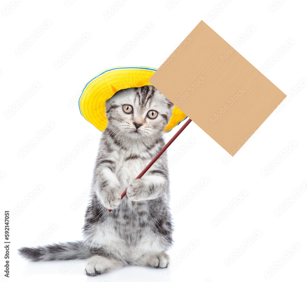 Aufkleber tabby kitten wearing summer hat shows empty placard. isolated on white background