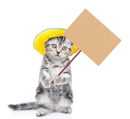 Tabby kitten wearing summer hat shows empty placard. isolated on white background