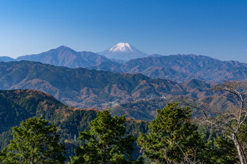 高尾山から望む富士山