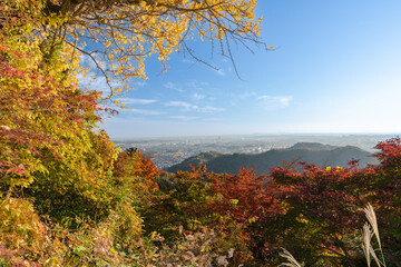 高尾山から望む関東平野