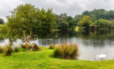 Fototapeta premium Loughrigg Tarn, Cumbria, Lakes District, England
