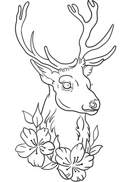  Explore the beauty of nature with this stunning deer and flowers coloring book illustration. Intricately designed, it offers a perfect blend of creativity and relaxation, suitable for all ages.