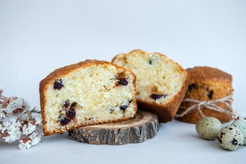 Small Easter Cakes Cut in Half Quail Eggs Raisin Easter Baking Set Spring Religious Holidays