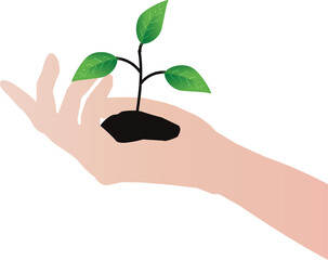 flat Tree on the women hand illustration transparent background