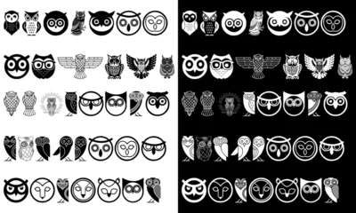 Foto op Plexiglas set symbol bird owl icon modern logo © Mr.dexterouz