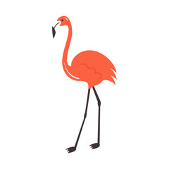 One Flamingo standing isolated on white background. Exotic tropical bird with bright pink plumage. Flat vector abstract illustration