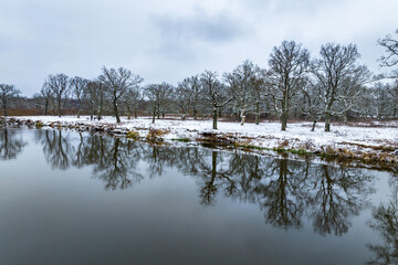 panorama of river on a winter day overlooking the oak grove