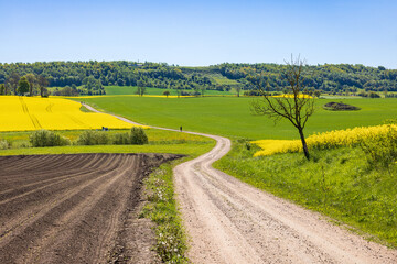 Winding road in a beautiful rural country landscape at spring