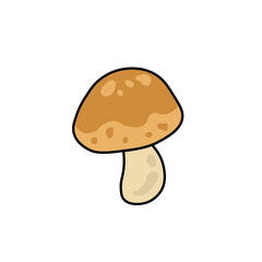 Vegetable Illustration