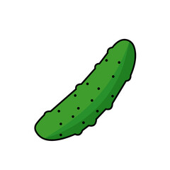 Vegetable Illustration