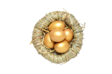 Concept of wealth and retirement - golden eggs, isolated on white background, PNG