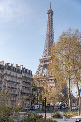 Eiffel tower - obrazy, fototapety, plakaty