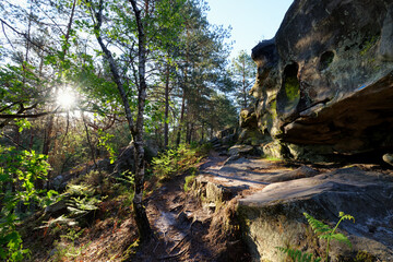 Sandstone rocks and forest path in the Franchard gorges. Fontainebleau forest 