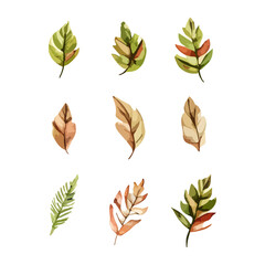Watercolor Style Leaves with White Background