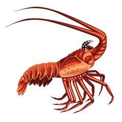 Lobster Shrimp Seafood Animal Sea Vector Illustration