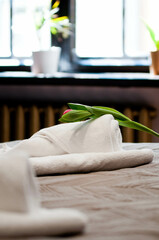 W hotelu, detale w hotelu, apartamenty, kwiaty, ręczniki w hotelu, łóżko hotelowe