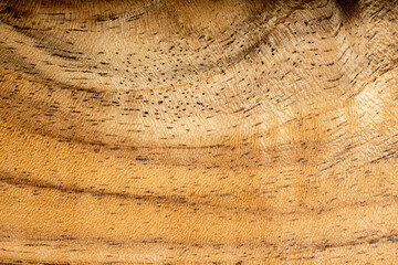 Wood Texture Surface of Teak Wood Nutwood Background for design and decoration