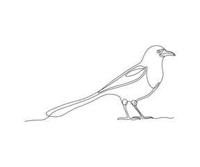 abstract Magpie Bird Continuous One Line Drawing