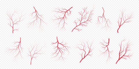 Human eye blood veins vessels silhouettes vector illustration set isolated on transparent background. Eyeballs red veins anatomical collection of human blood vessel artery health system.