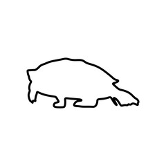 Pet Turtles outline drawing icon, silhouette. Sign Symbol vector illustration template in trendy flat style. Editable graphic resources for many purposes.