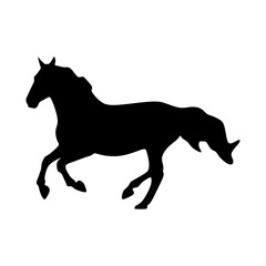 Fototapeta na wymiar Running pet horse silhouette. Sign Symbol vector illustration template in trendy flat style. Editable graphic resources for many purposes.