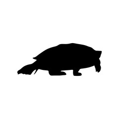 pet turtles silhouette. Sign Symbol Icon vector illustration template in trendy flat style. Editable graphic resources for many purposes.