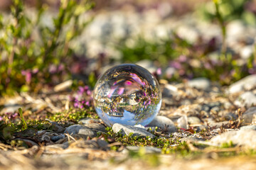 Fototapete bei efototapeten.de bestellen   