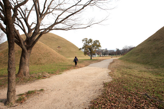경주대릉원일원 노서동 고분군 Daereungwon Ancient Tomb Complex, Gyeongju